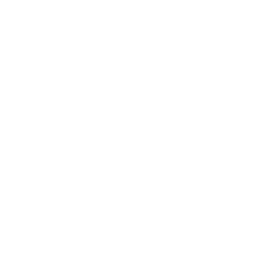 Partner Icon